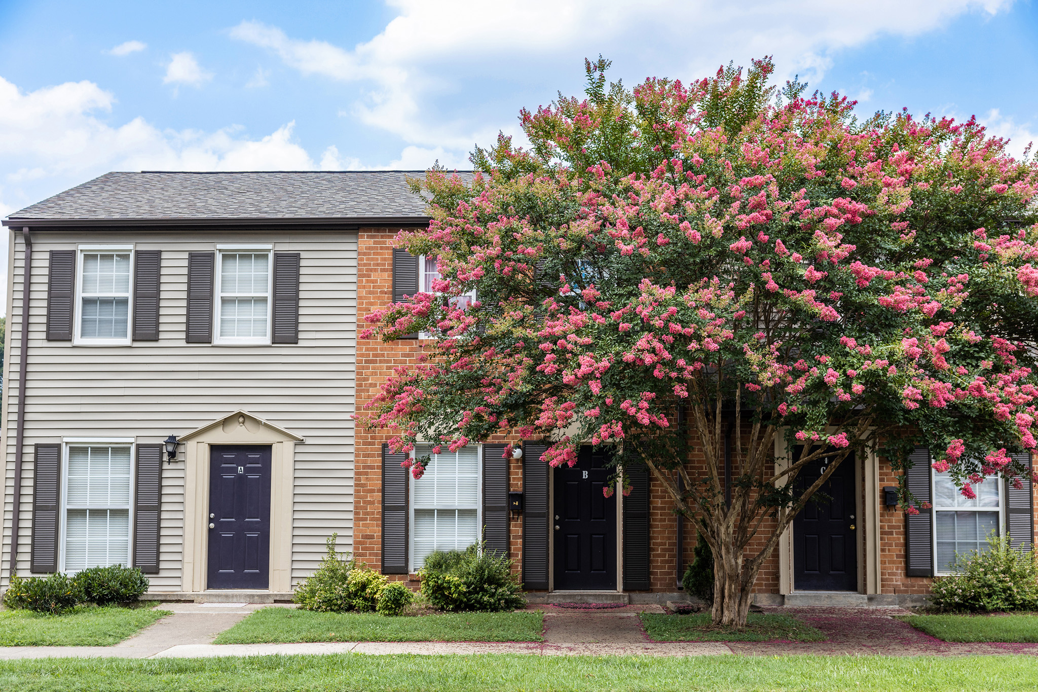 a house with a flowering tree in front of it